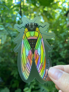 Cicada Clear Vinyl Sticker